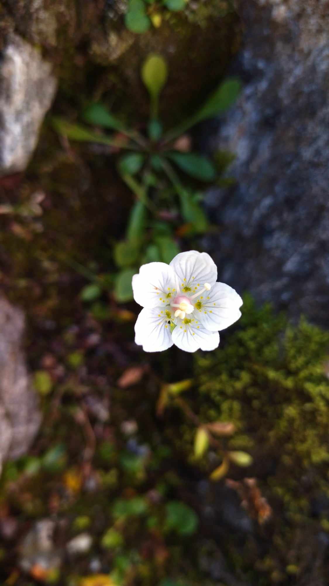 Image 13