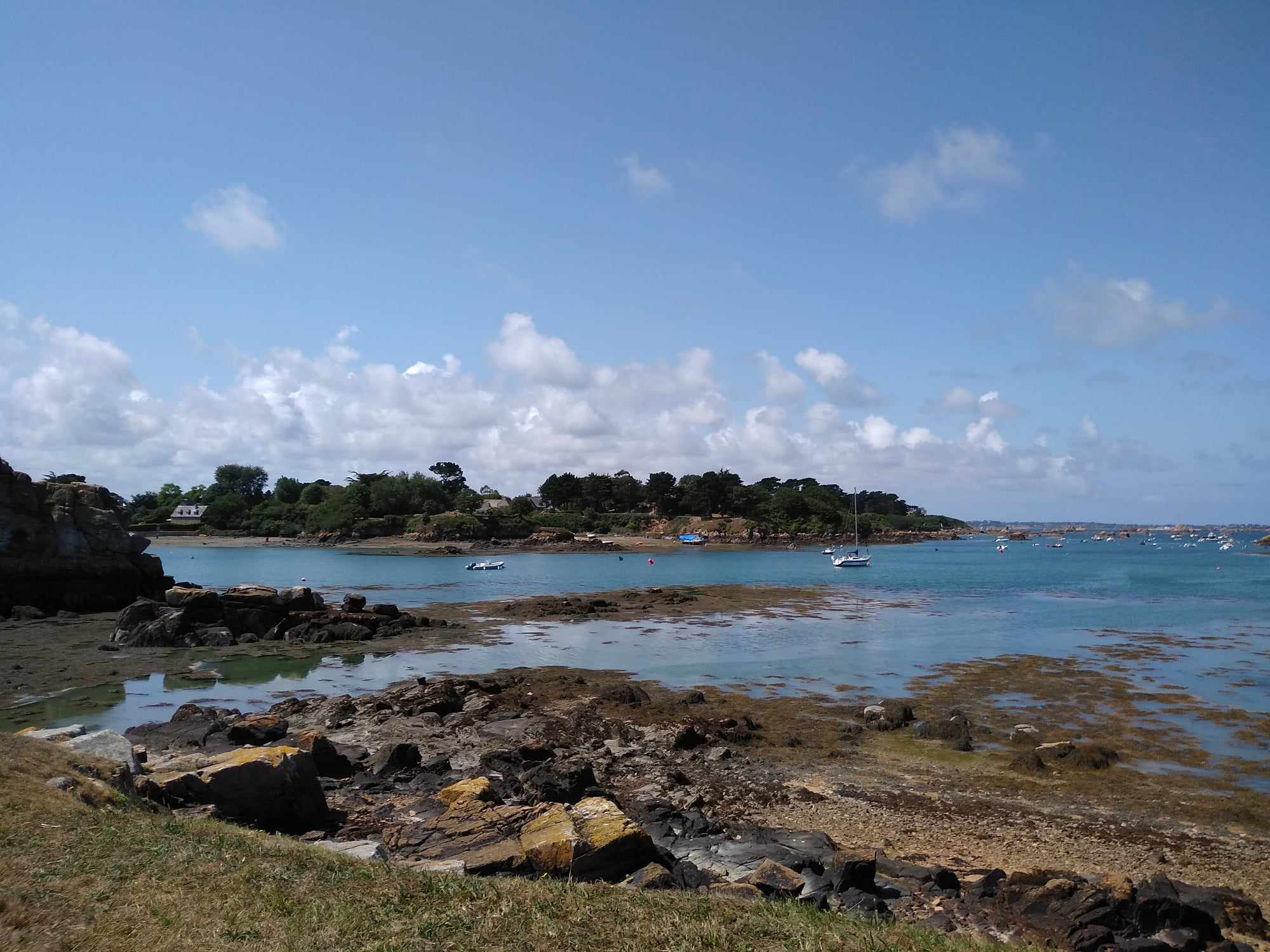 Image 38